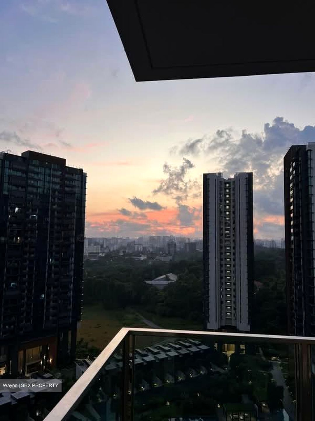 Normanton Park (D5), Apartment #564133031